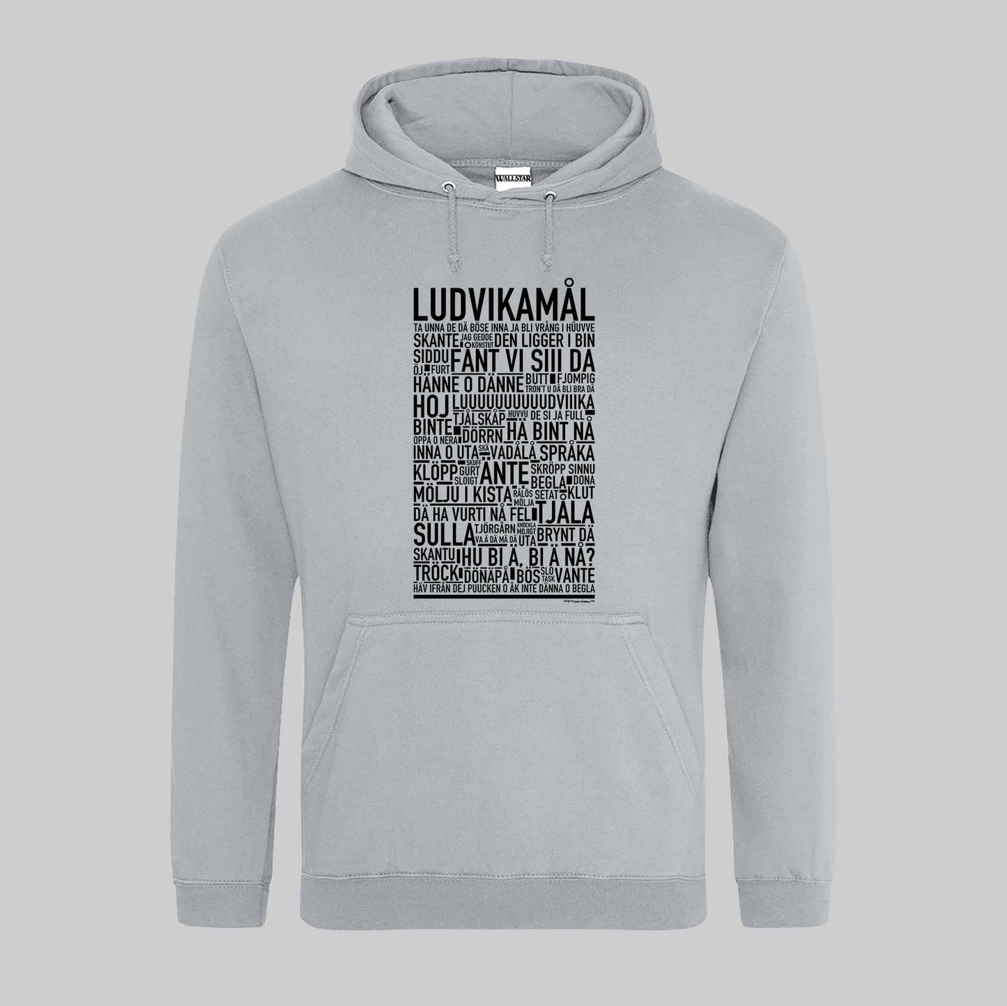 Ludvikamål Dialekt Text Hoodie