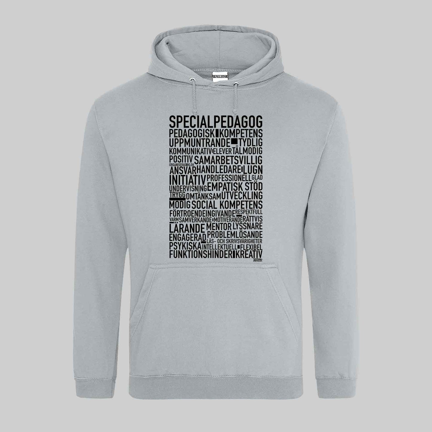Specialpedagog 2025 Text Hoodie