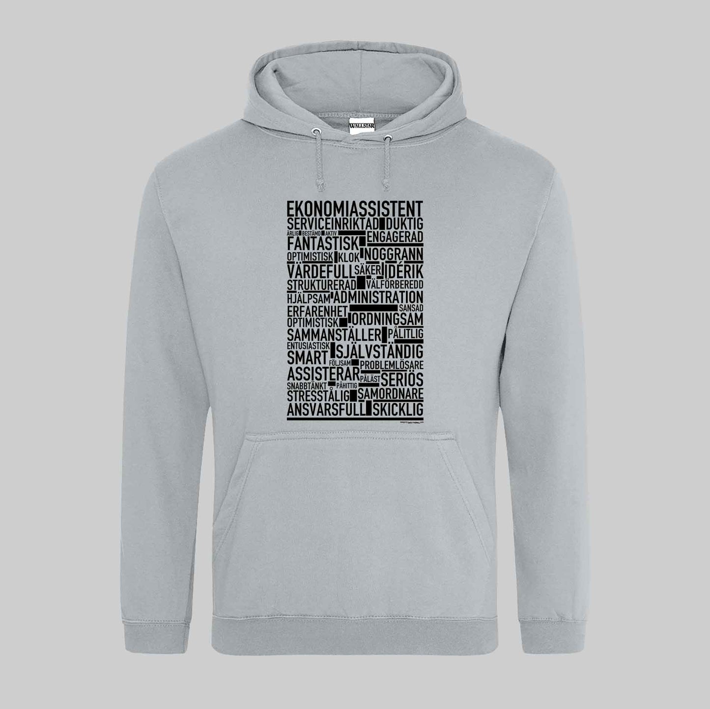 Ekonomiassistent Text Hoodie