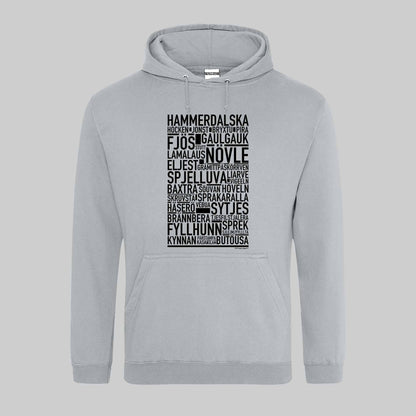 Hammerdalska Dialekt Text Hoodie
