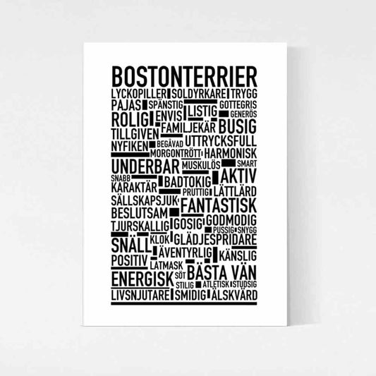 Bostonterrier Text Poster
