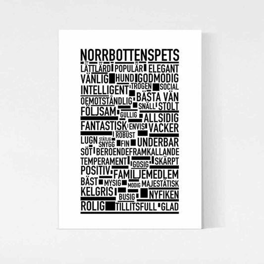 Norrbottenspets Poster