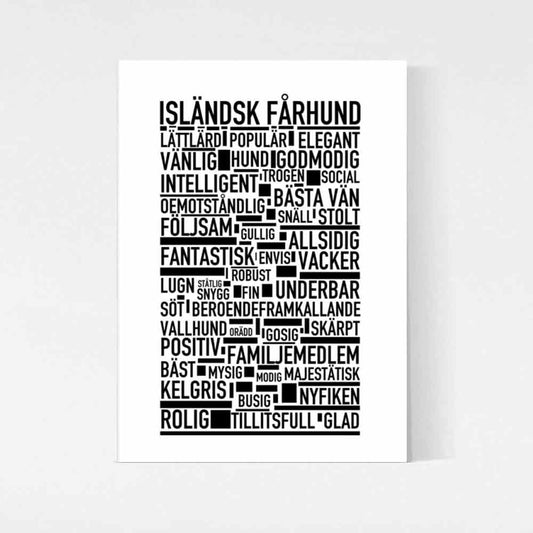 Isländsk Fårhund Text Poster