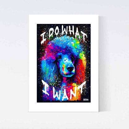 Poodle What I Want Poster