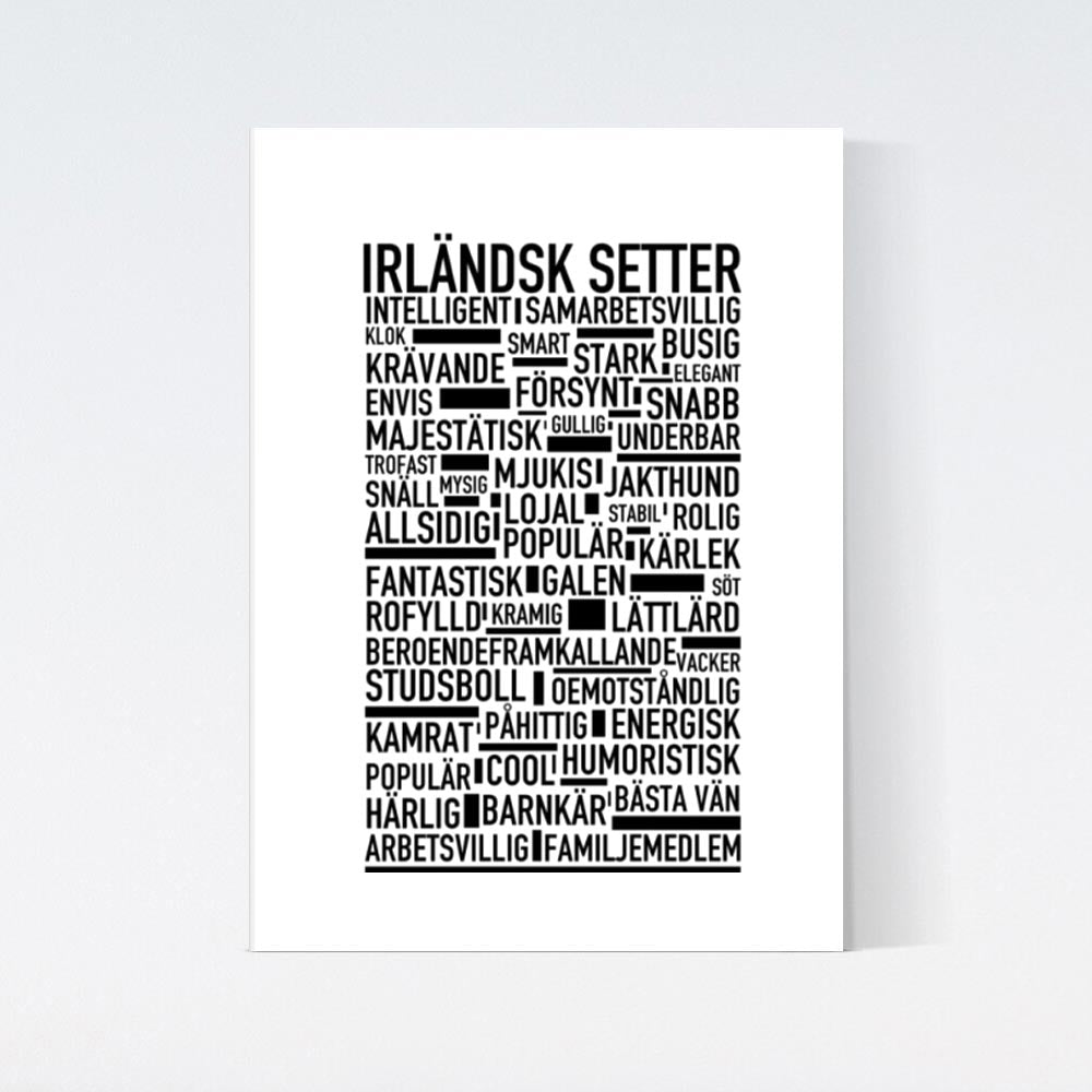 Irländsk Setter Text Poster
