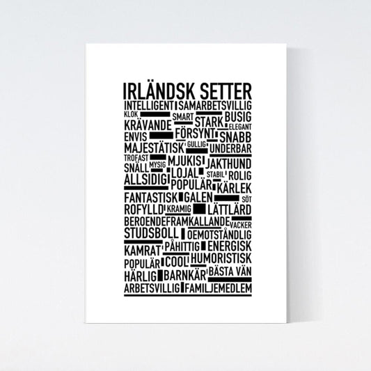 Irländsk Setter Text Poster