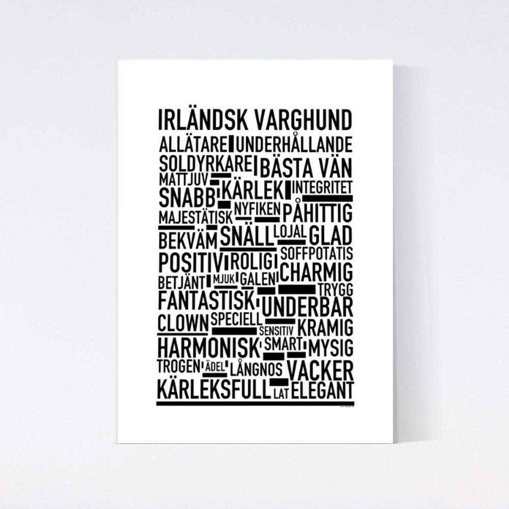 Irländsk Varghund Text Poster
