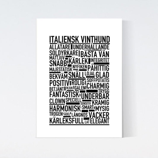 Italienskt Vinthund Text Poster