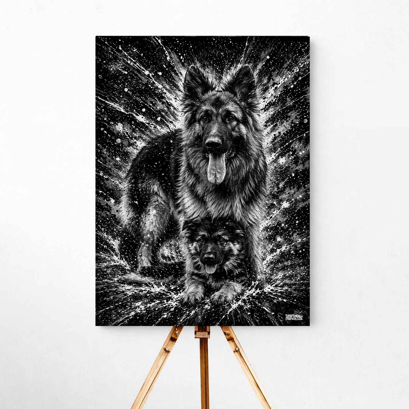 Långhårig Schäfer Canvas