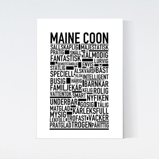 Maine Coon Katt Poster