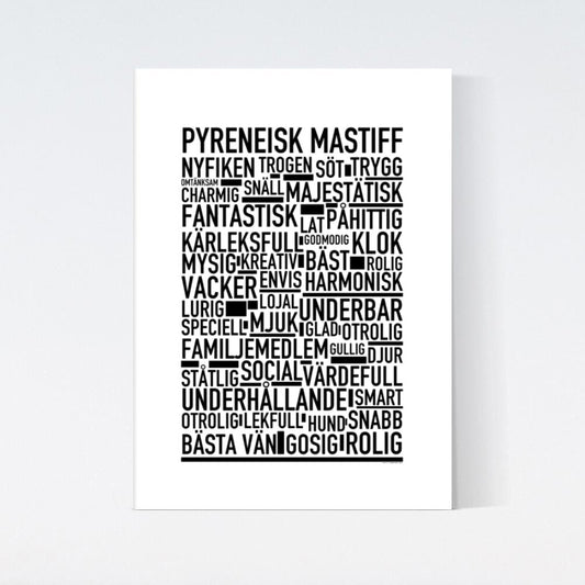 Pyreneisk Mastiff Text Poster