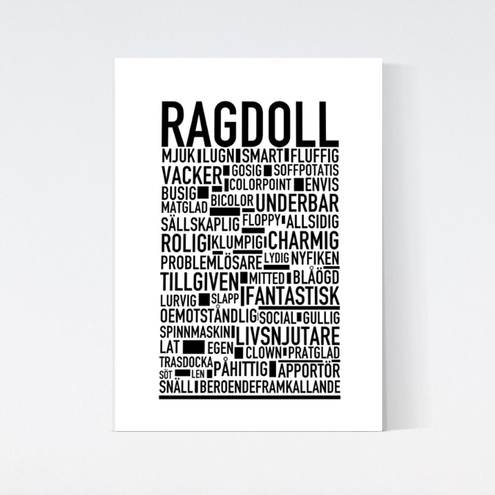 Ragdoll Katt Poster