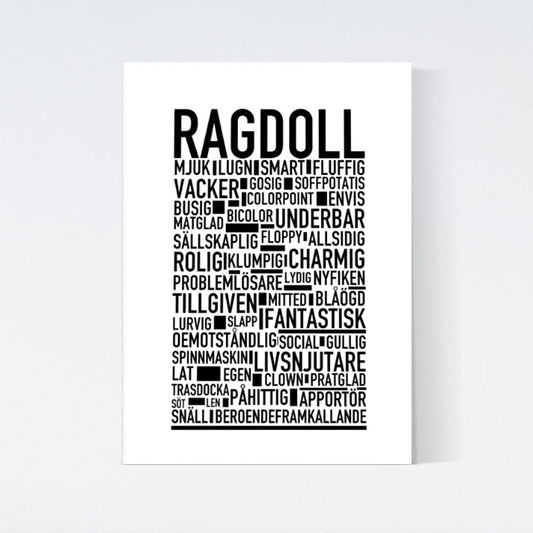Ragdoll Katt Poster