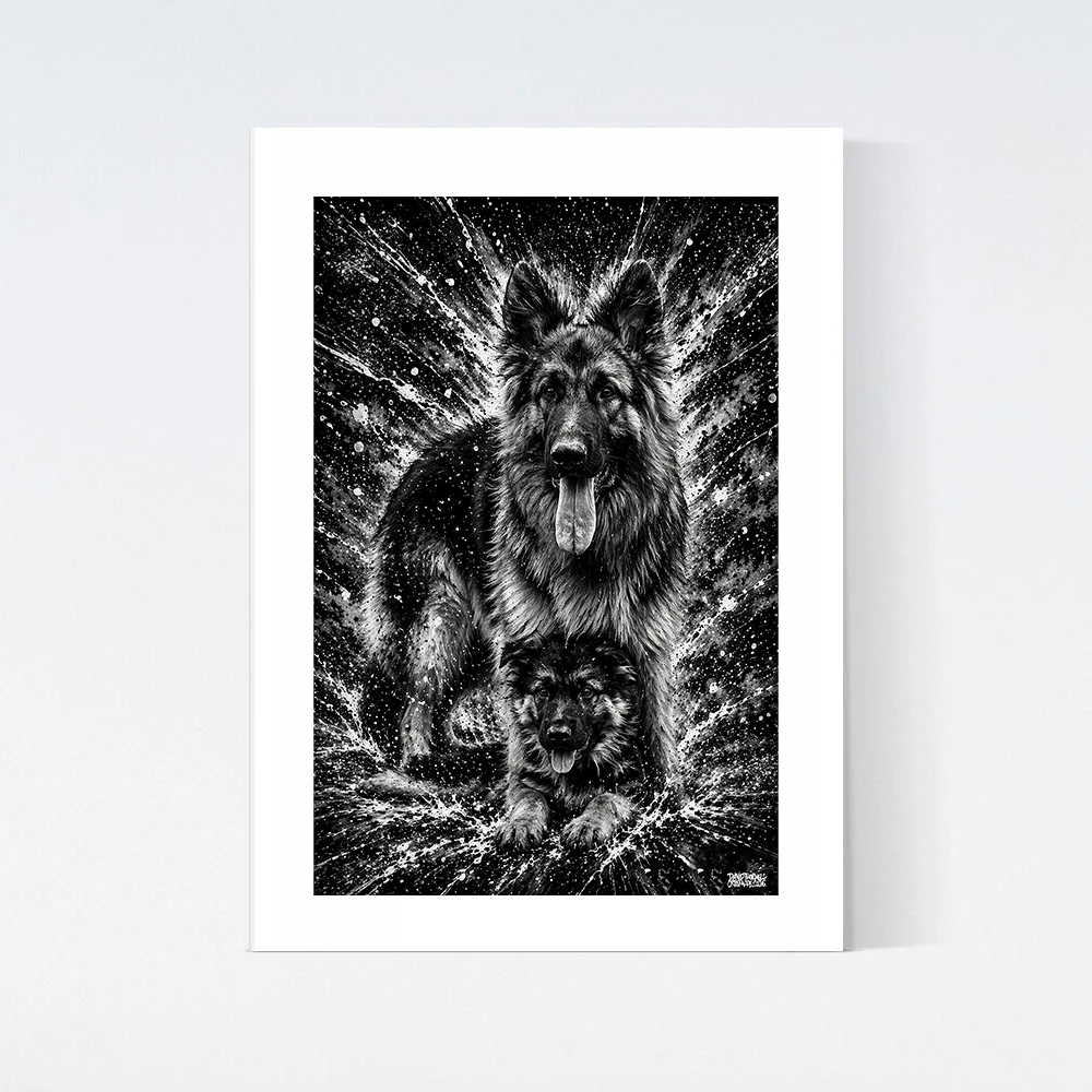 Schäfer Porträtt Poster