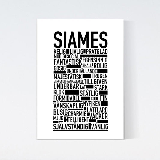 Siames Katt Poster