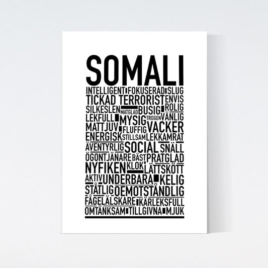 Somali Katt Poster