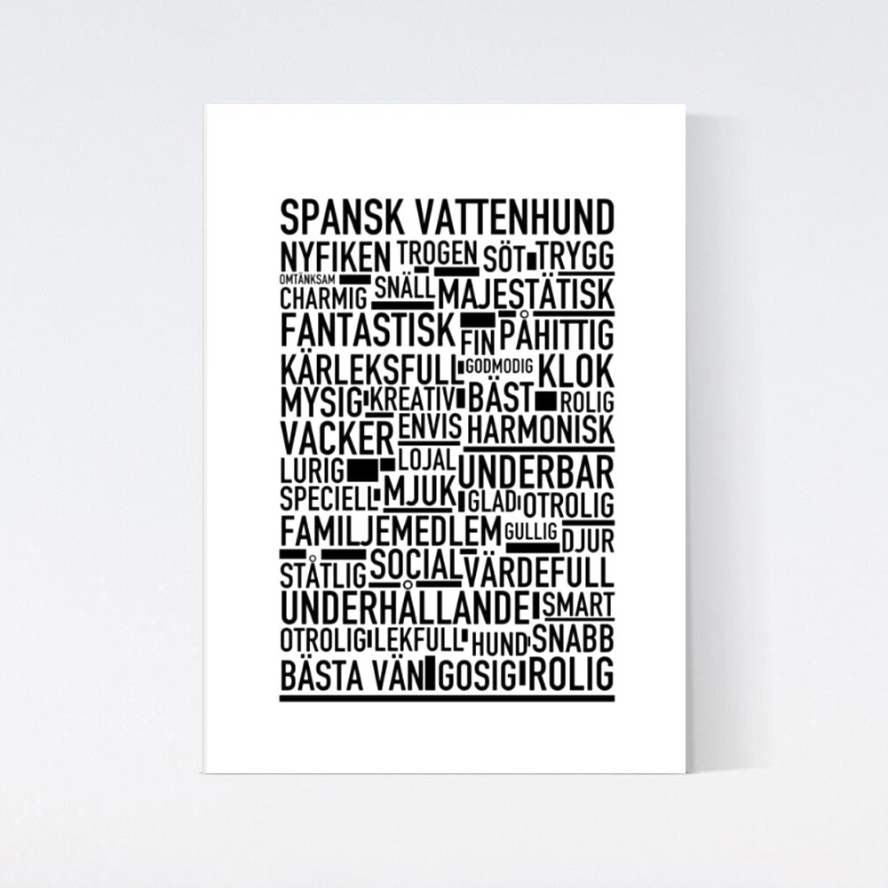 Spansk Vattenhund Text Poster