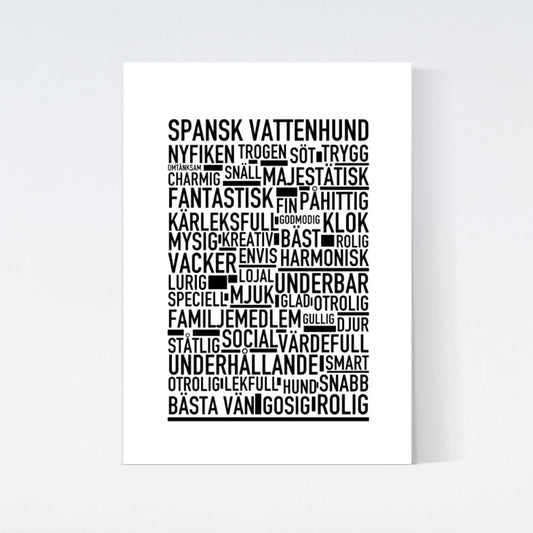 Spansk Vattenhund Text Poster