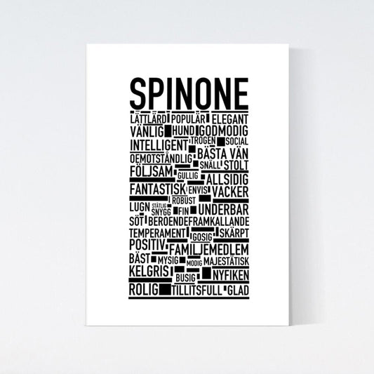 Spinone Text Poster