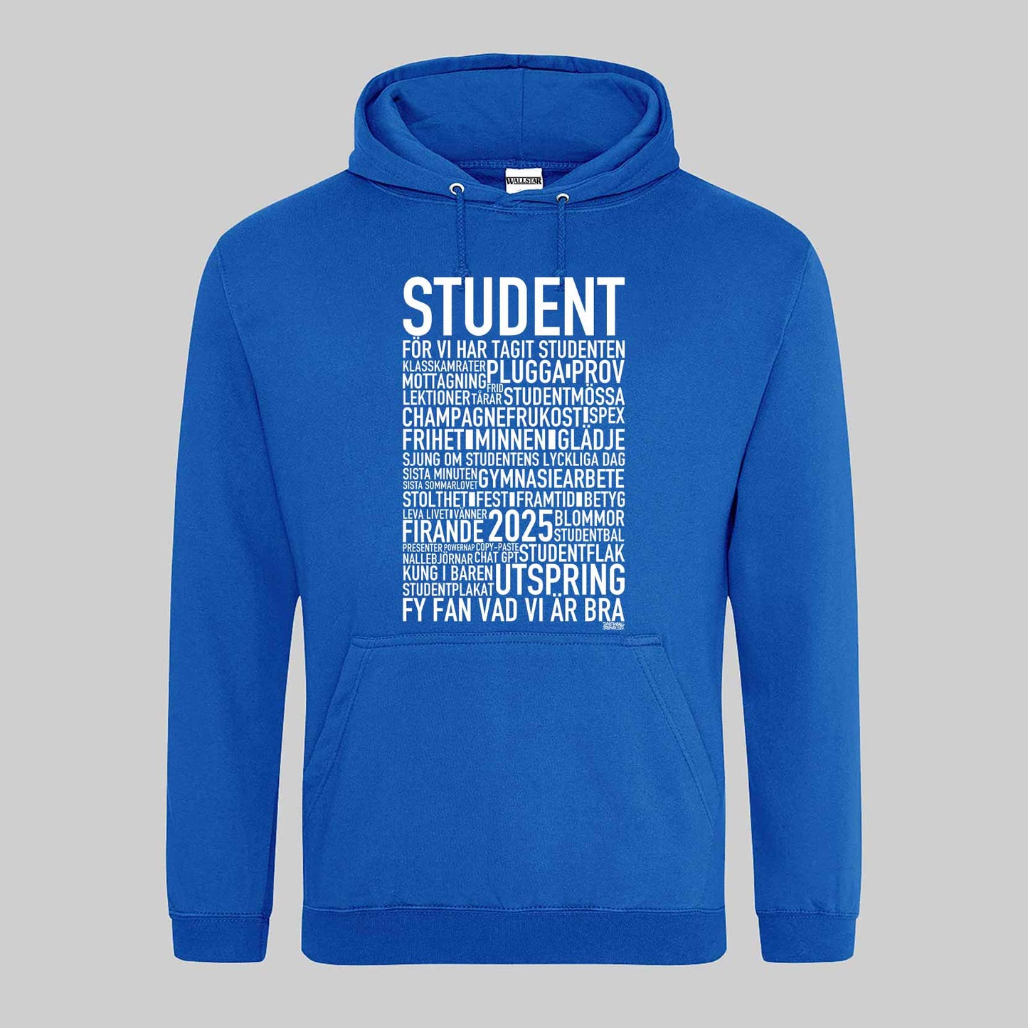 Student 2025 Text Hoodie