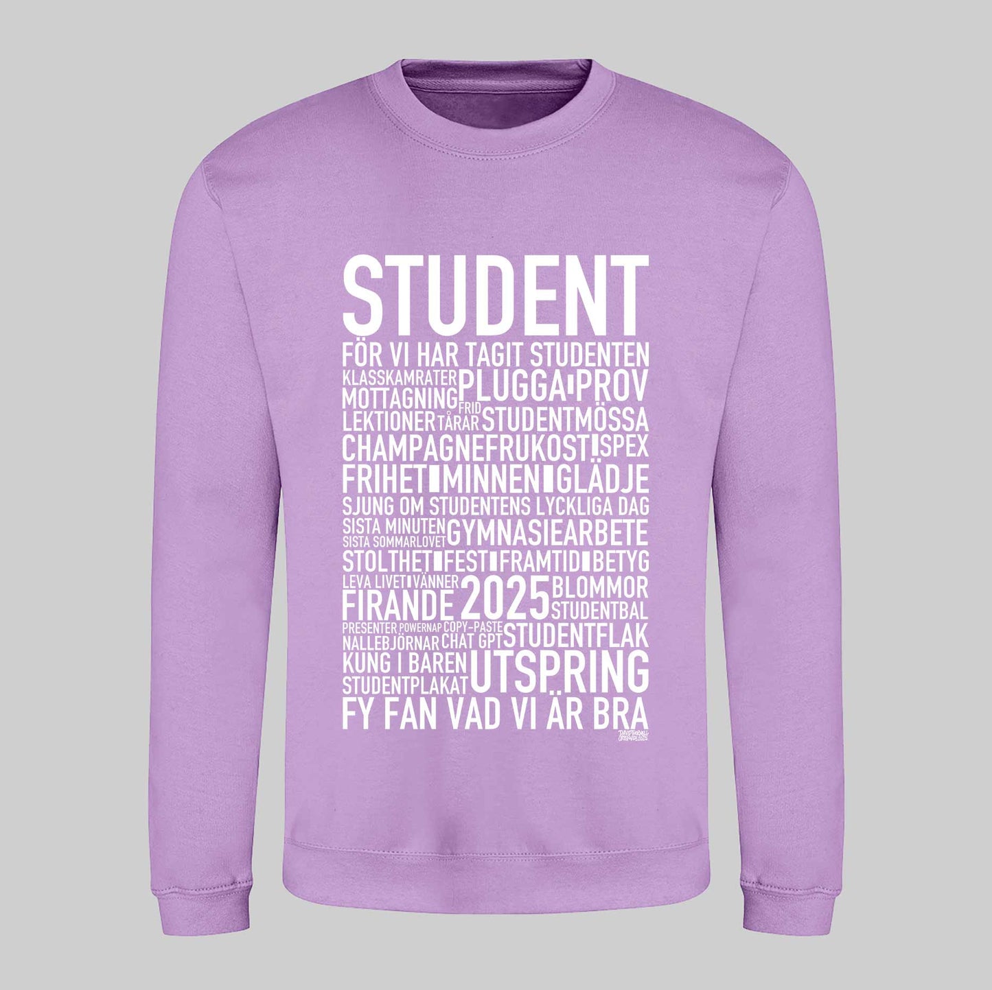 Student 2025 Text Sweatshirt