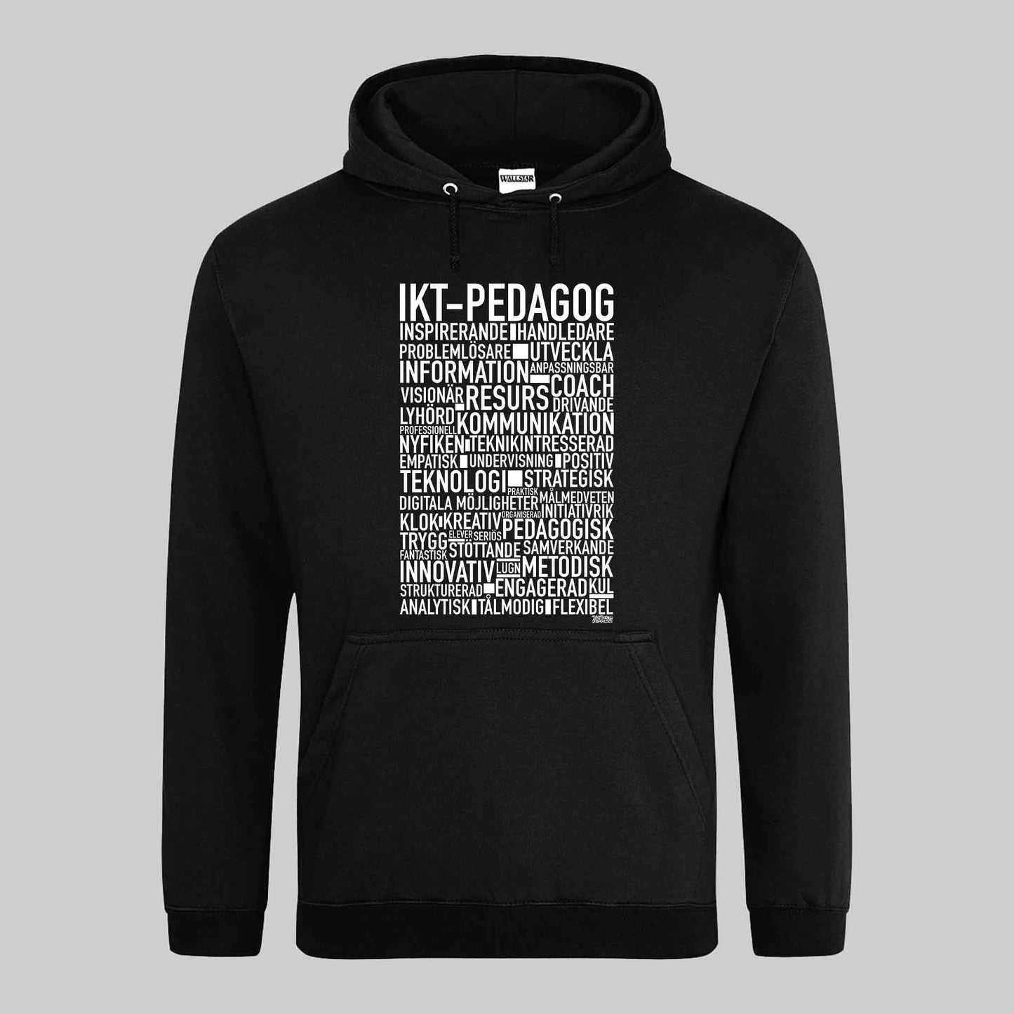 IKT-Pedagog Text Hoodie