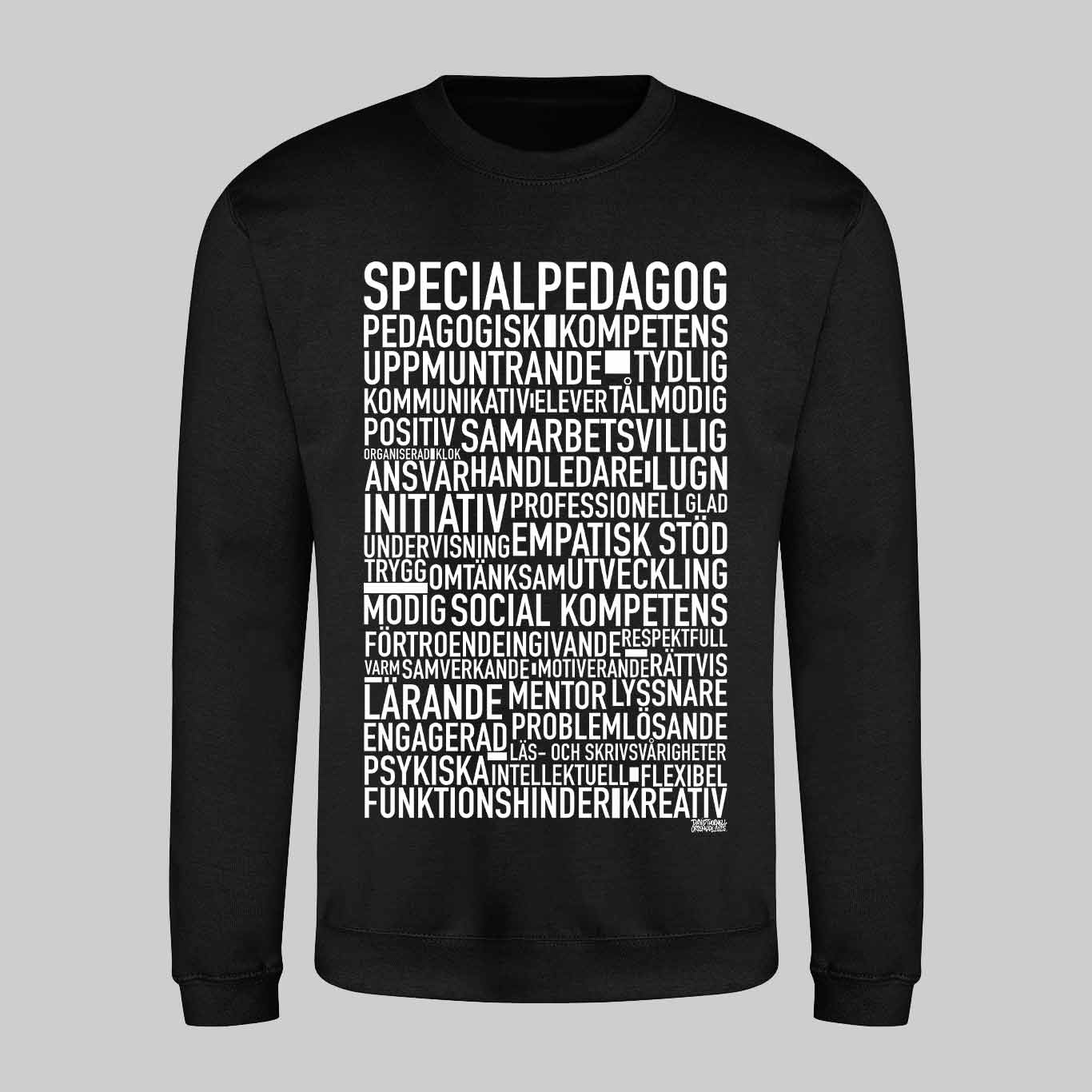 Specialpedagog 2025 Text Sweatshirt