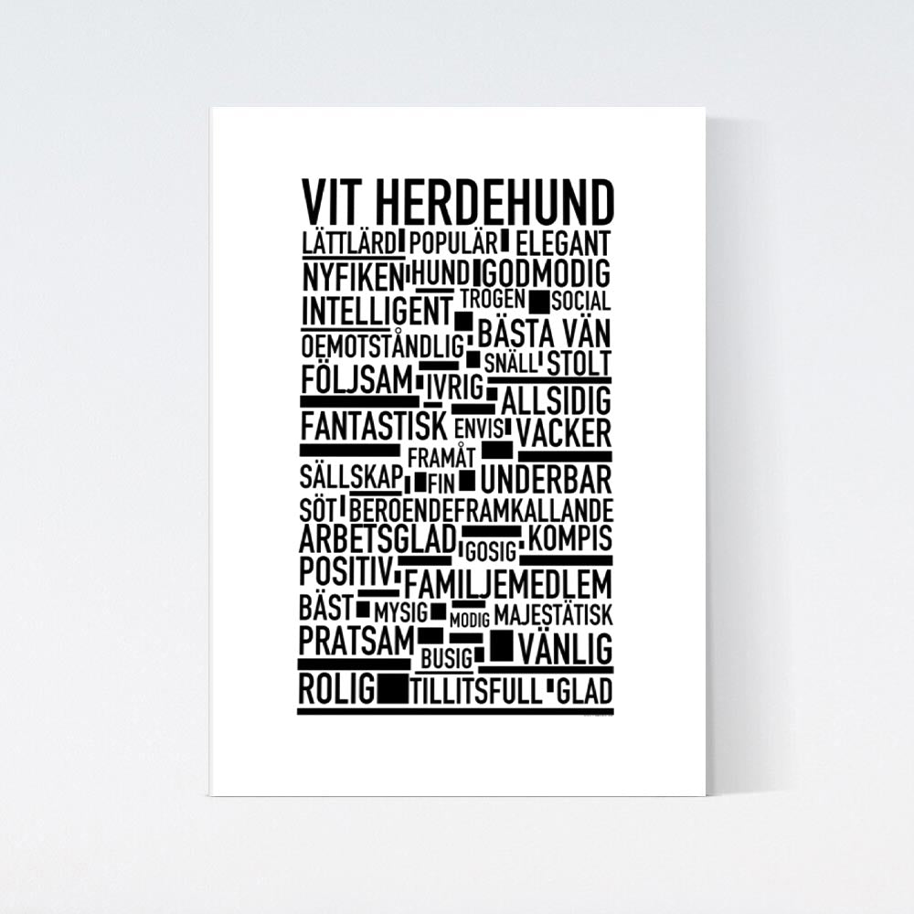 Vit herdehund Text Poster