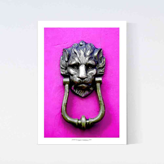 Pink Lion Door Knob Poster